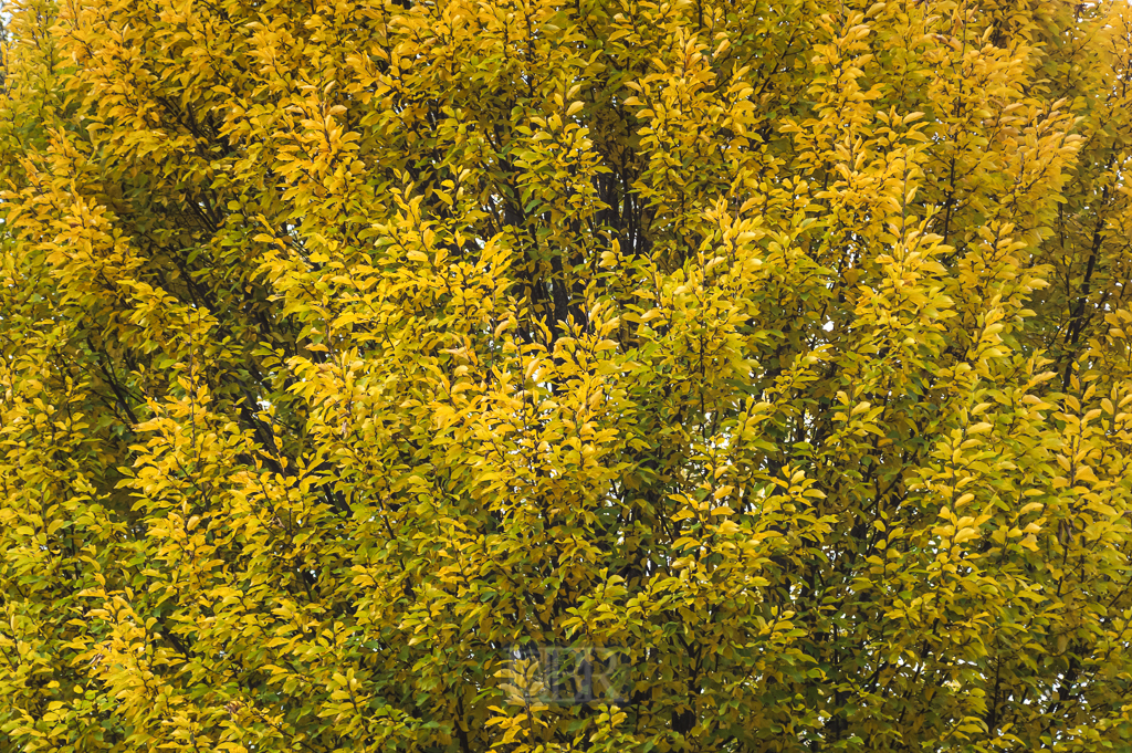01_herbst15_10
