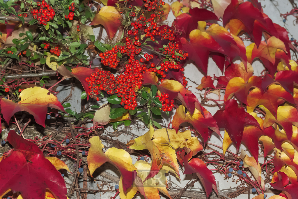 03_herbst15_02