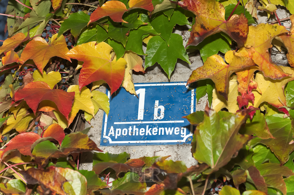 03_herbst15_07