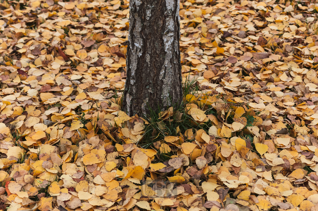 04_herbst15_02