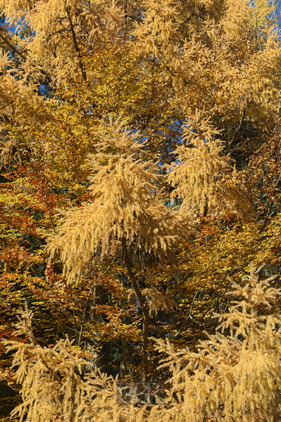 UBR_5024