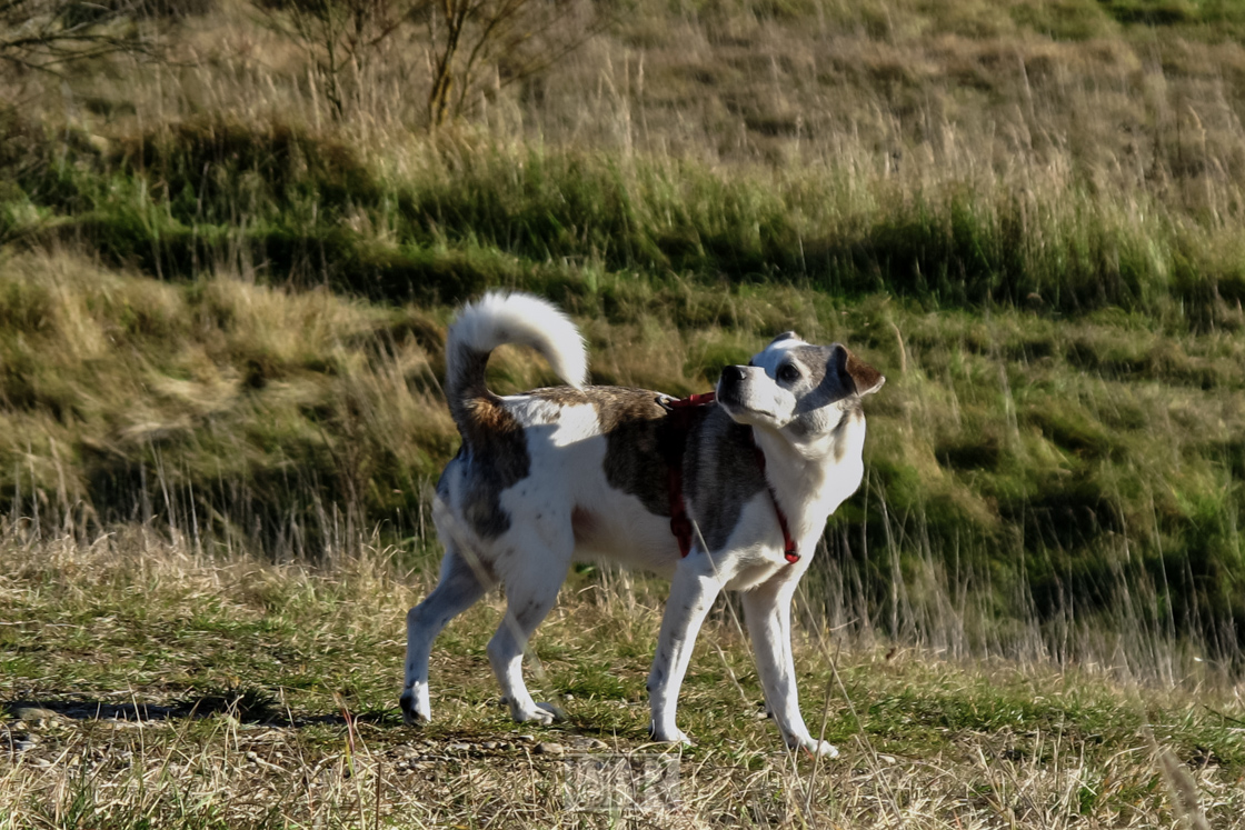 30.5 mm    1/320 Sek. bei f / 4,5    ISO 80