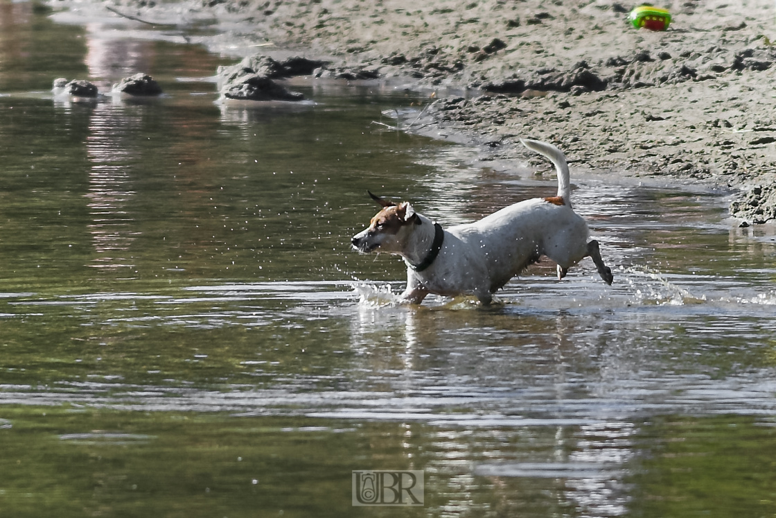 200 mm    1/1000 Sek. bei f / 4,0    ISO 200