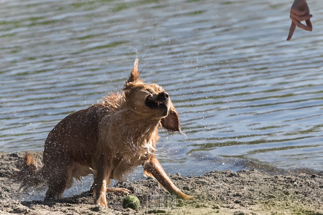 200 mm    1/2000 Sek. bei f / 4,0    ISO 200