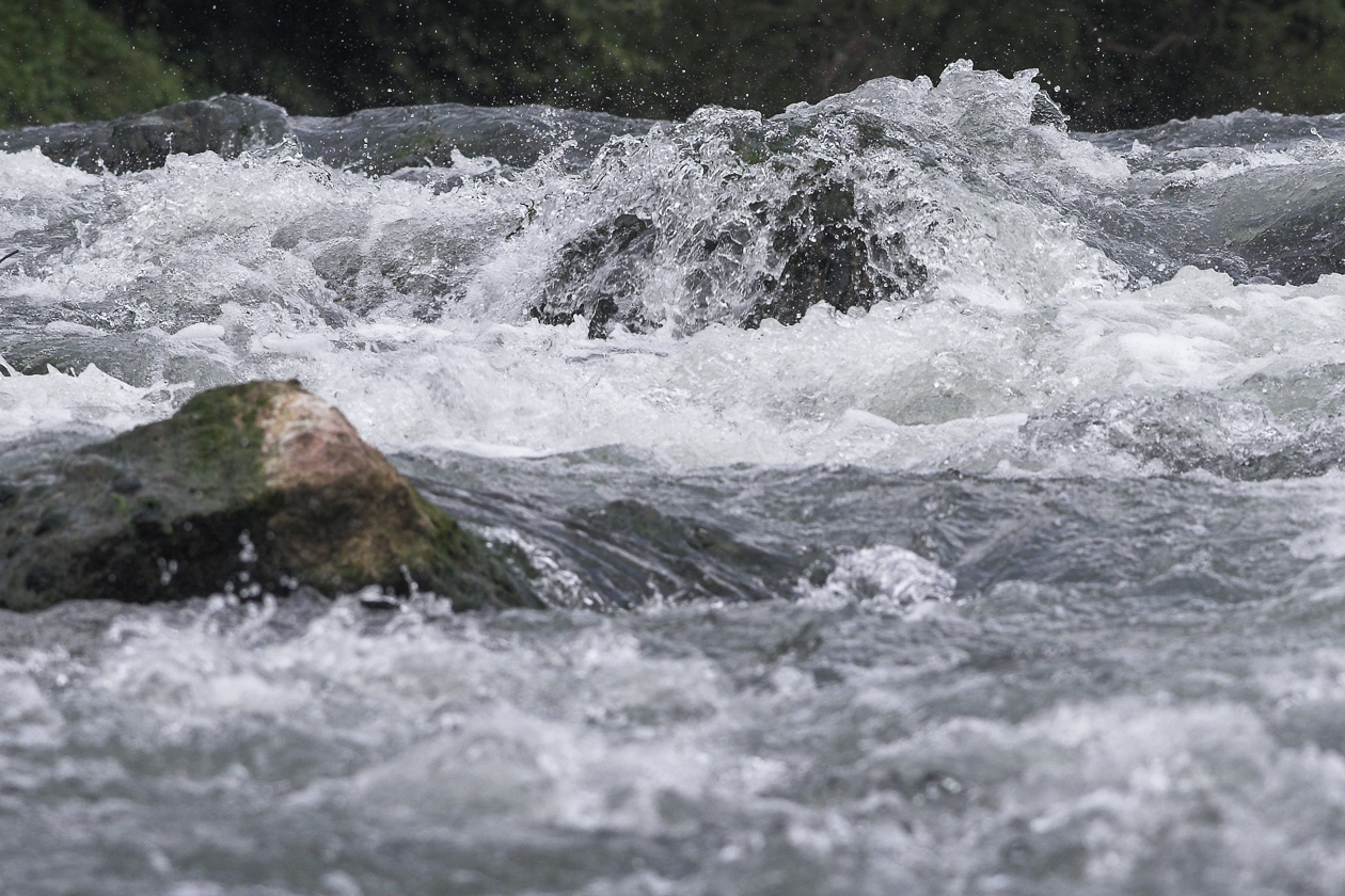 Der Fluss bei sommerlich mittelhohem Wasserstand