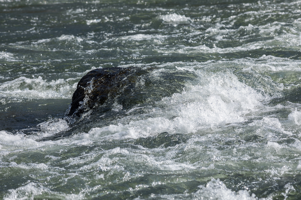 Die Isar geht über Stock und Stein