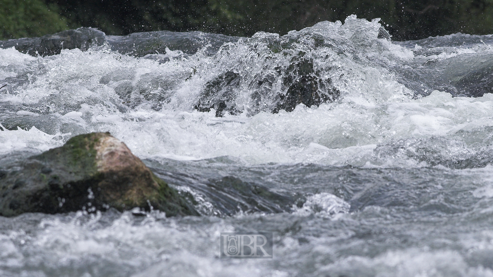 Der Fluss bei sommerlich mittelhohem Wasserstand