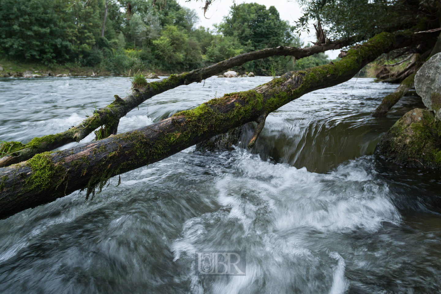 Die Isar fließt unter weitem Winkel - 2017