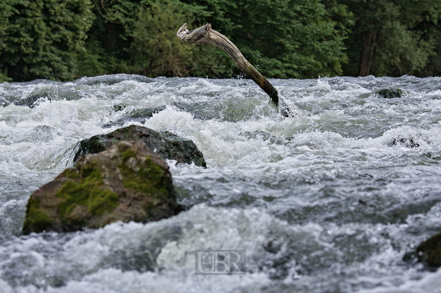 Der Fluss bei sommerlich mittelhohem Wasserstand