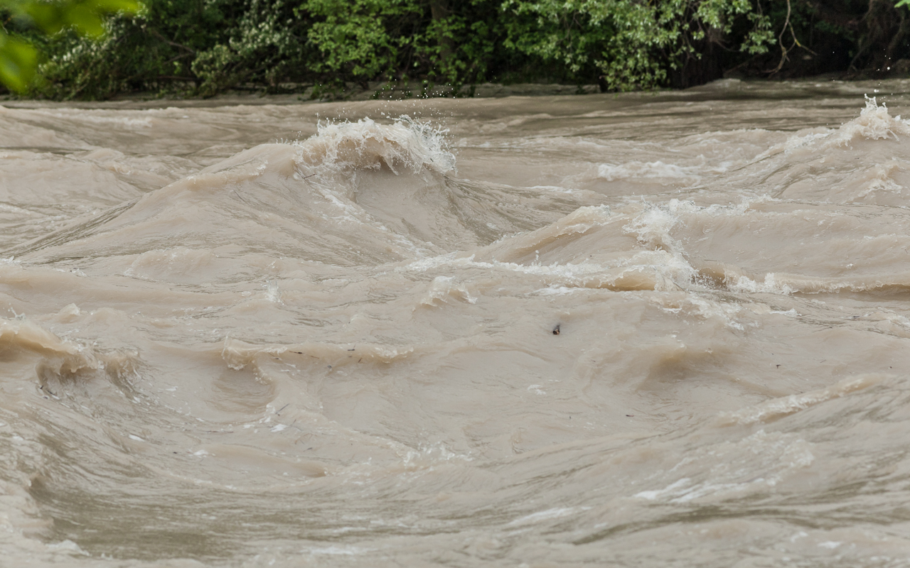 isar_hochwasser_mai_2019_05