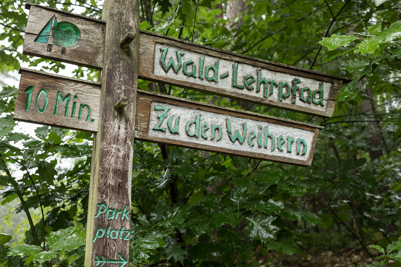 wald_lehrpfad_bowoe_01