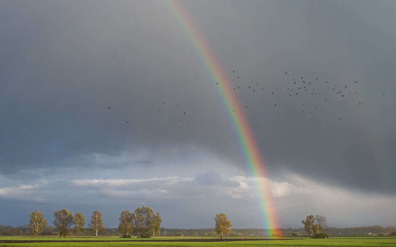 allerheiligen_regenbogen_02