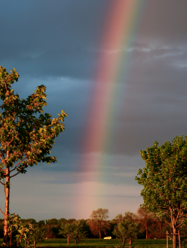 regenbogen_11_h