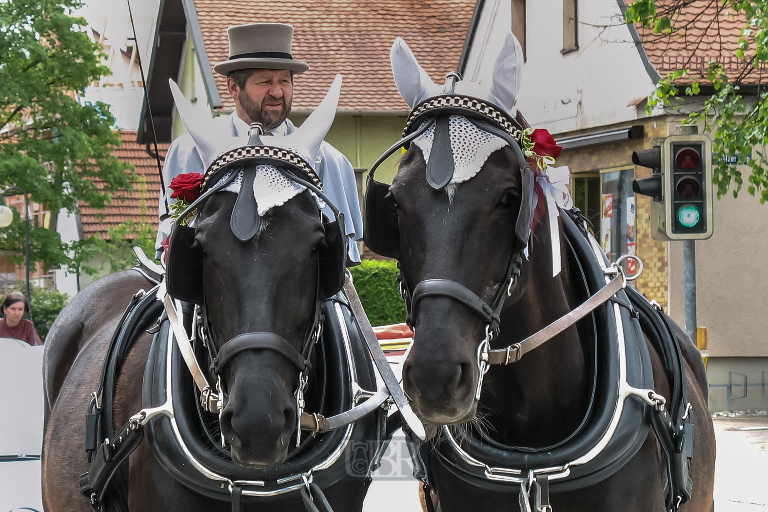 hochzeit_pferde_610