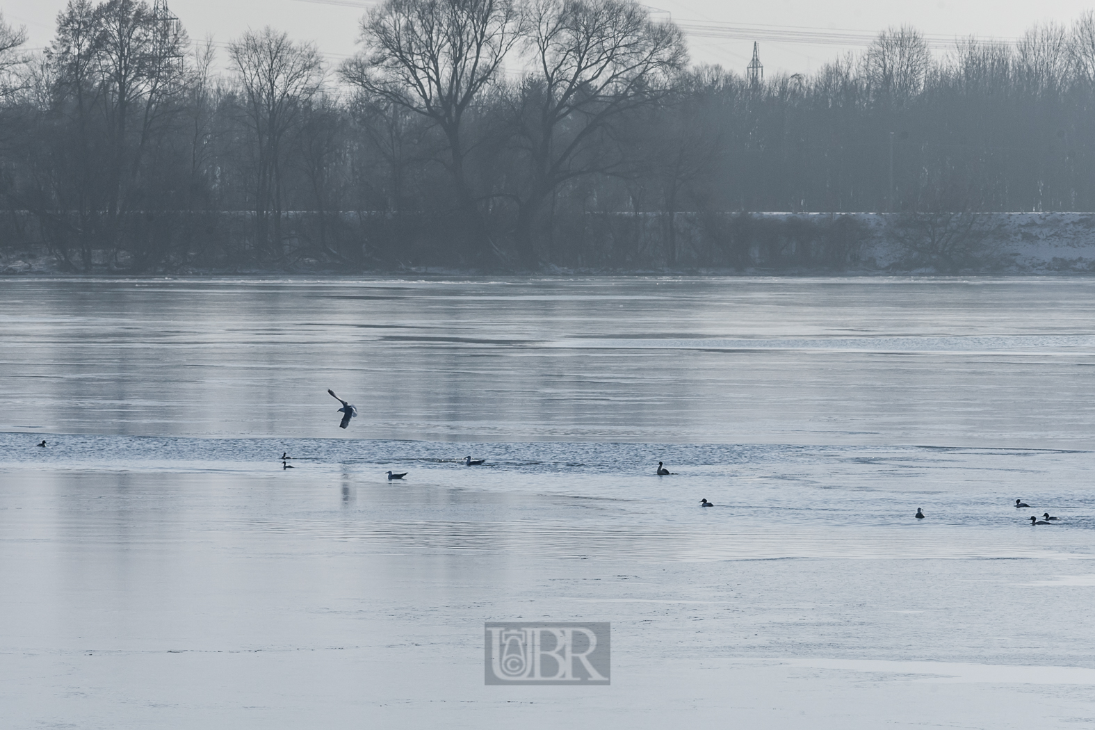 Am Speichersee bei München