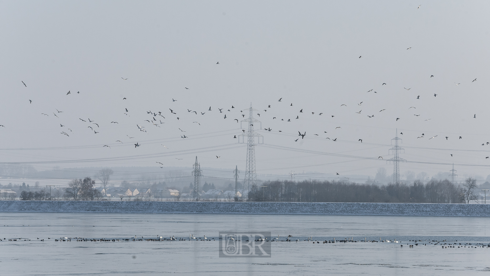 Am Speichersee bei München