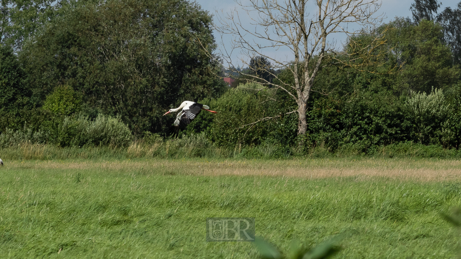Im Freisinger Moos - 2025