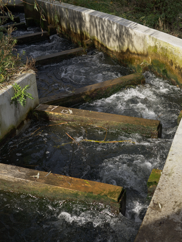 fischtreppe_lohmuehlenweg