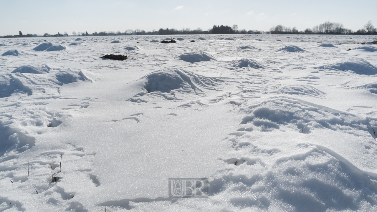 Sonne Schnee Wind und Kälte bei Führholzen