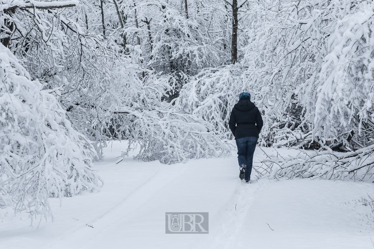 Winterspaziergang auf dem Isardamm bei Dietersheim