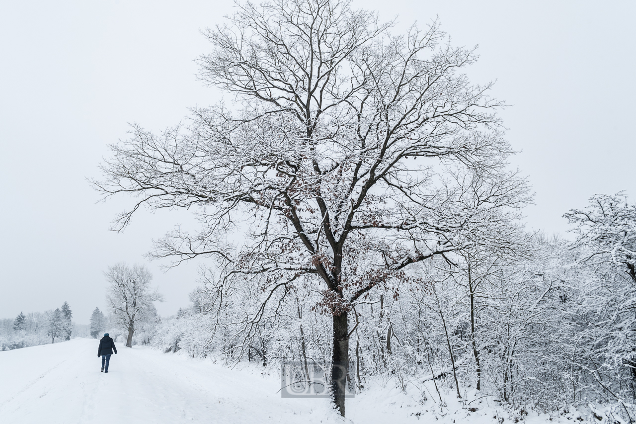 Winterspaziergang auf dem Isardamm bei Dietersheim