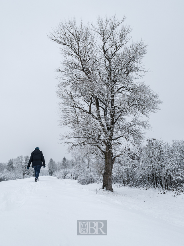 Winterspaziergang auf dem Isardamm bei Dietersheim