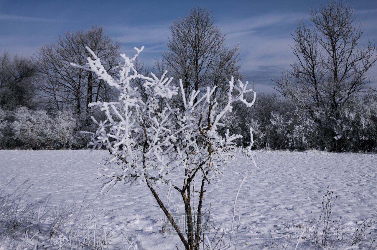 winter_morgen_kalt_05