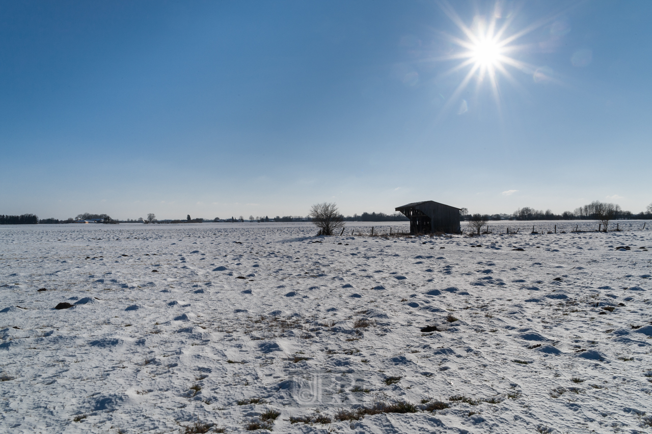 Winter weißblau in den Wiesen von Hallbergmoos