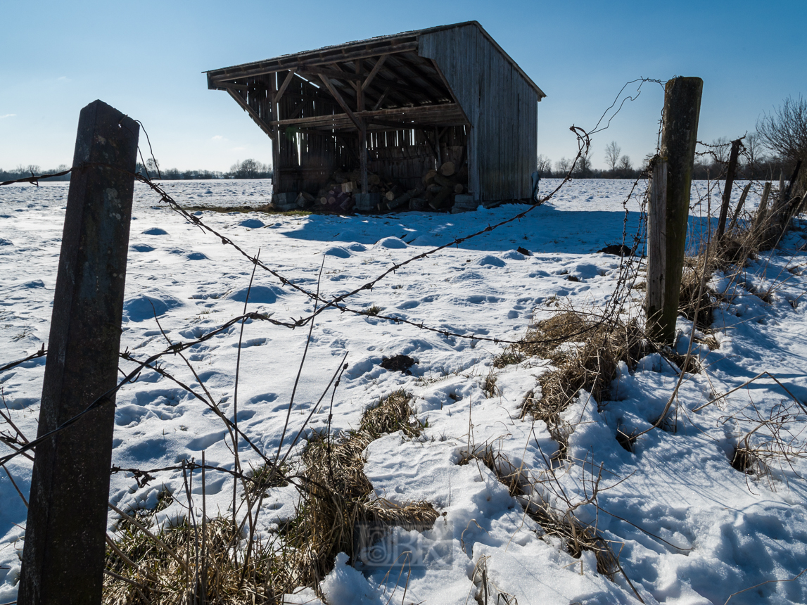 Winter weißblau in den Wiesen von Hallbergmoos