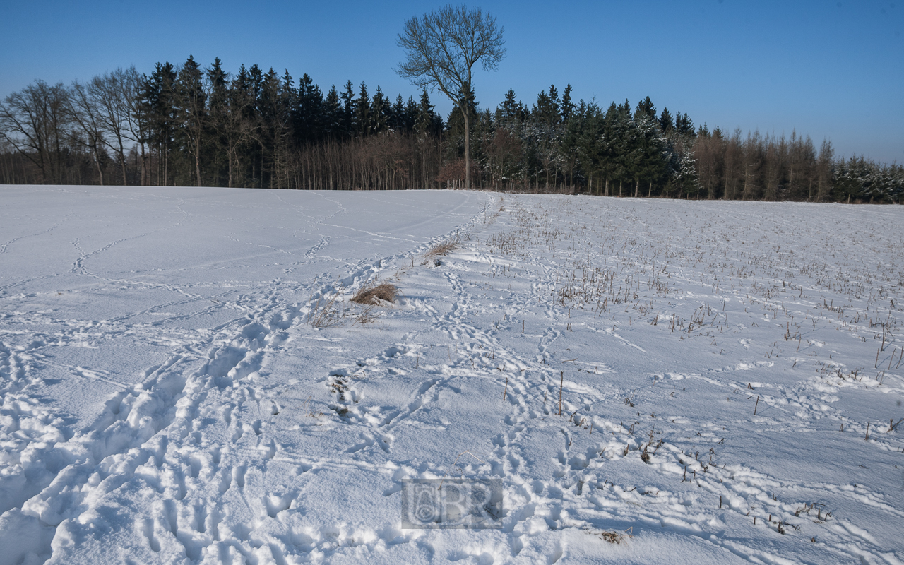 Ein Wintermorgen bei Hetzenhausen