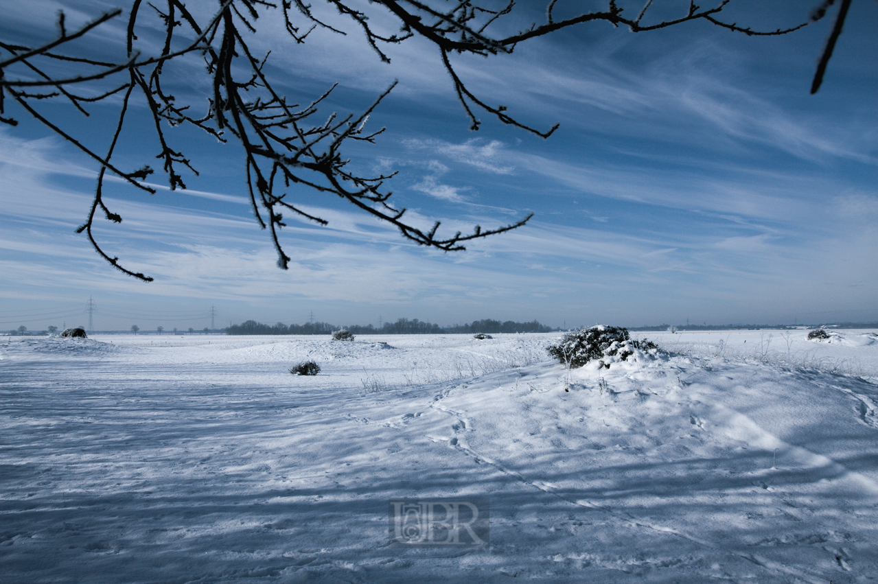 Morgens im Schnee in der Garchinger Heide