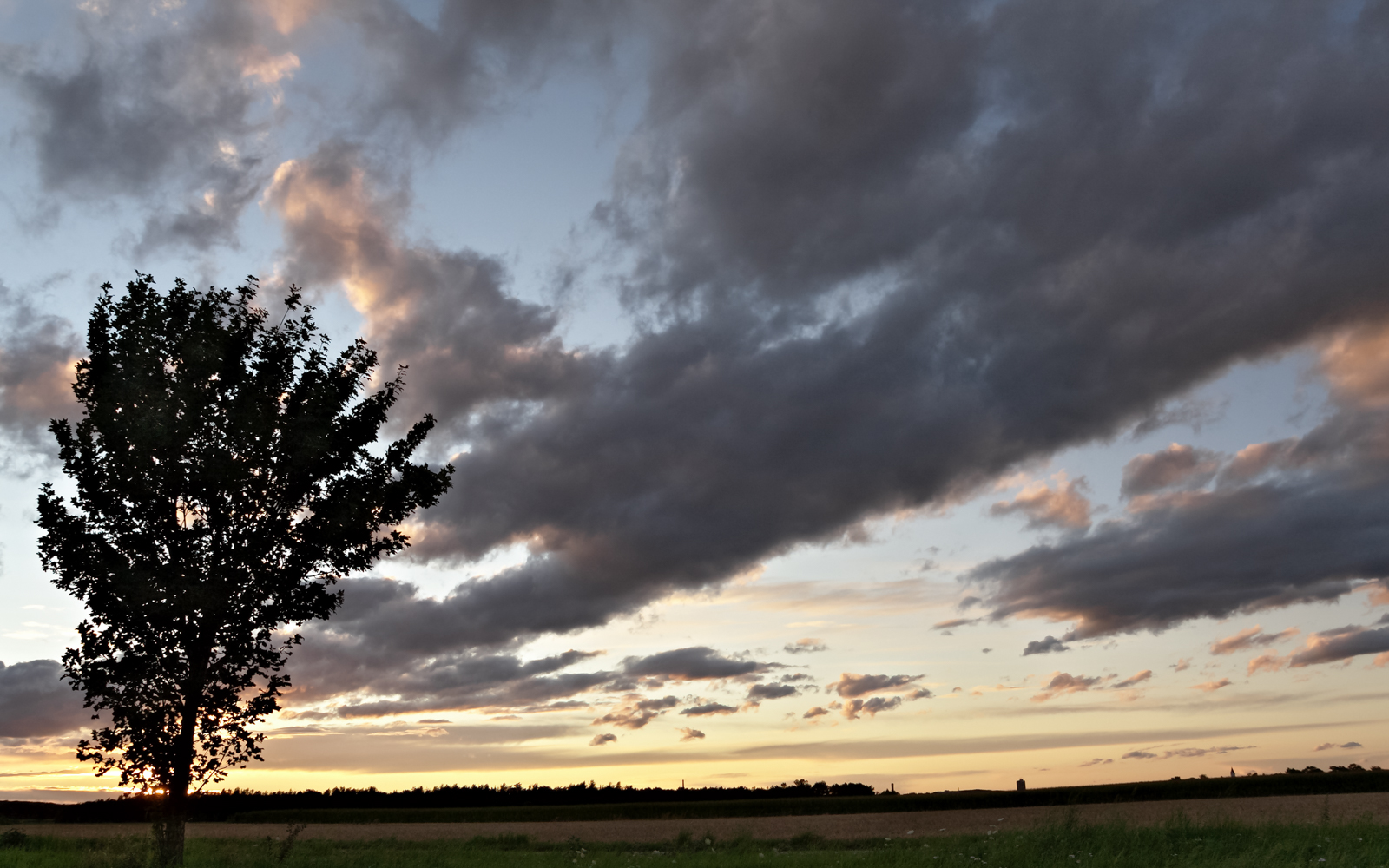 abenstimmung_bizarr_12