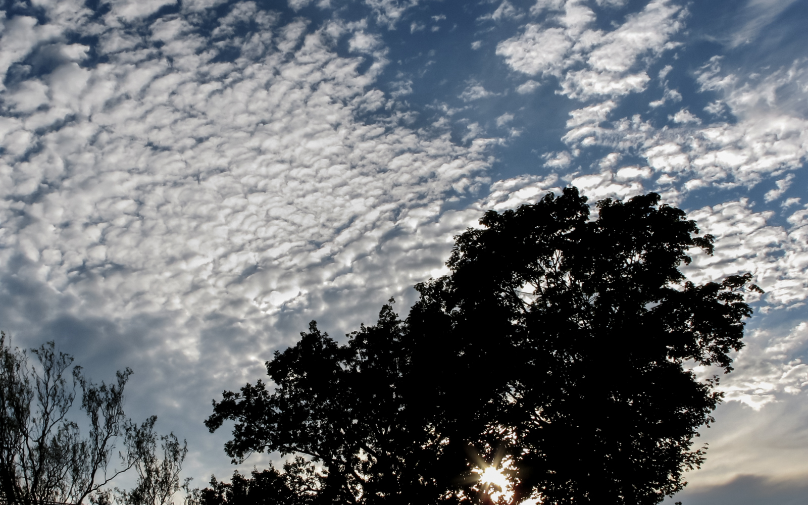 baum_silouette_wolken_g112