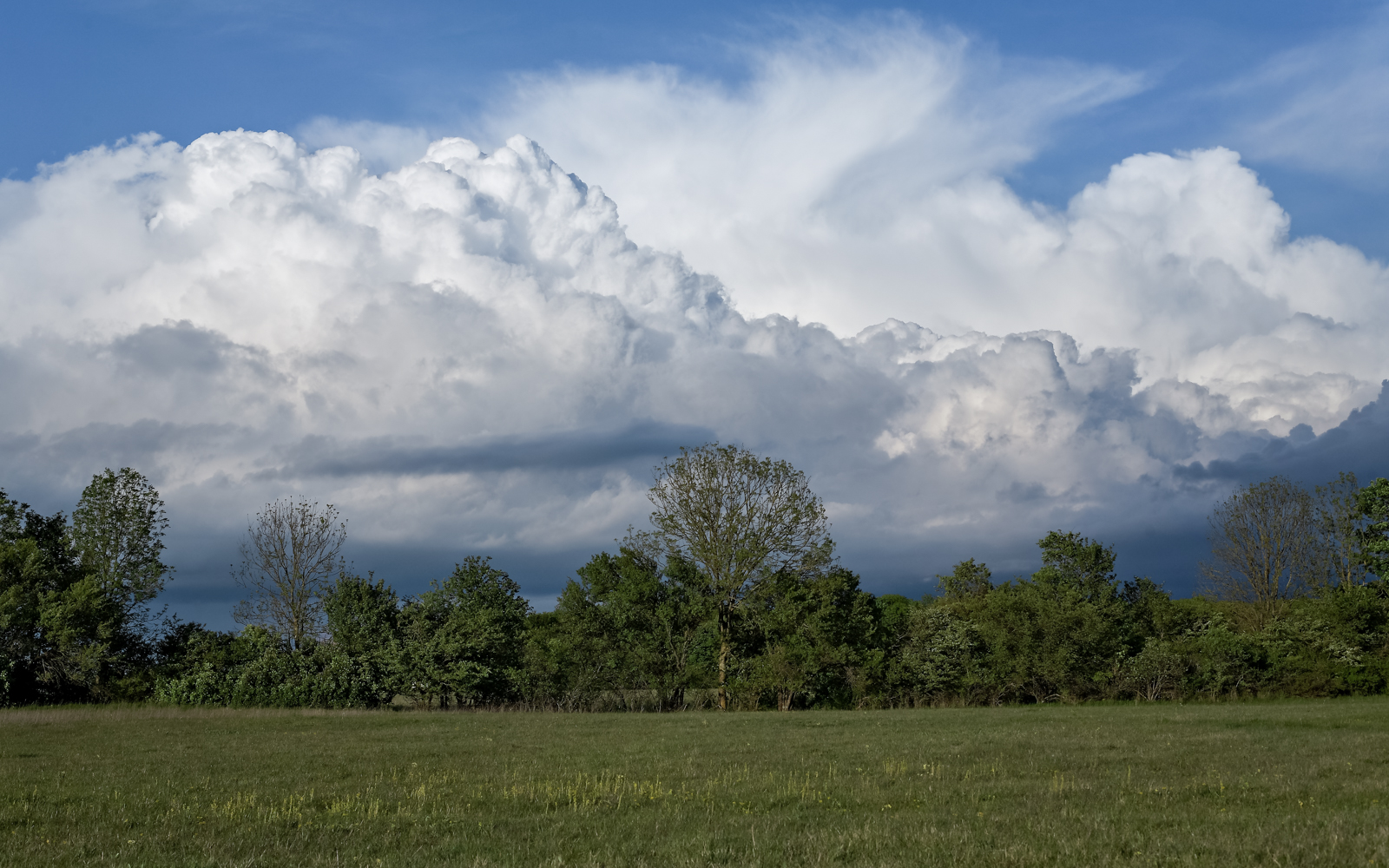 garchinger_heide_05_wiesen_wolken