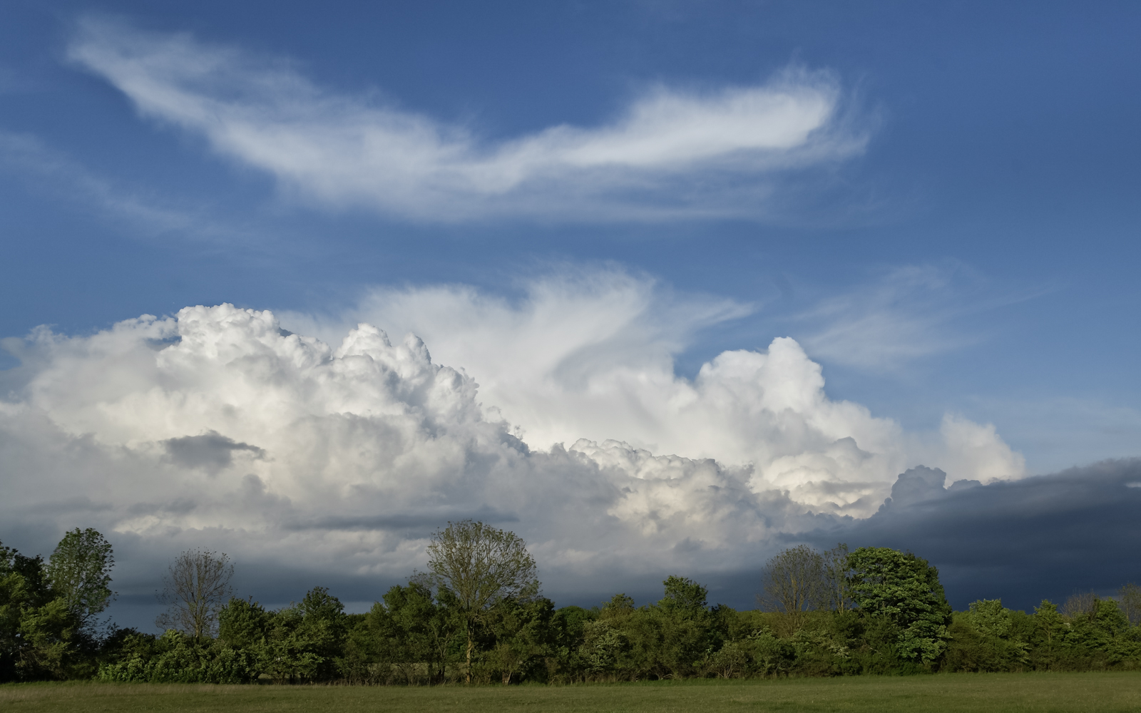 garchinger_heide_07_feder_wolken