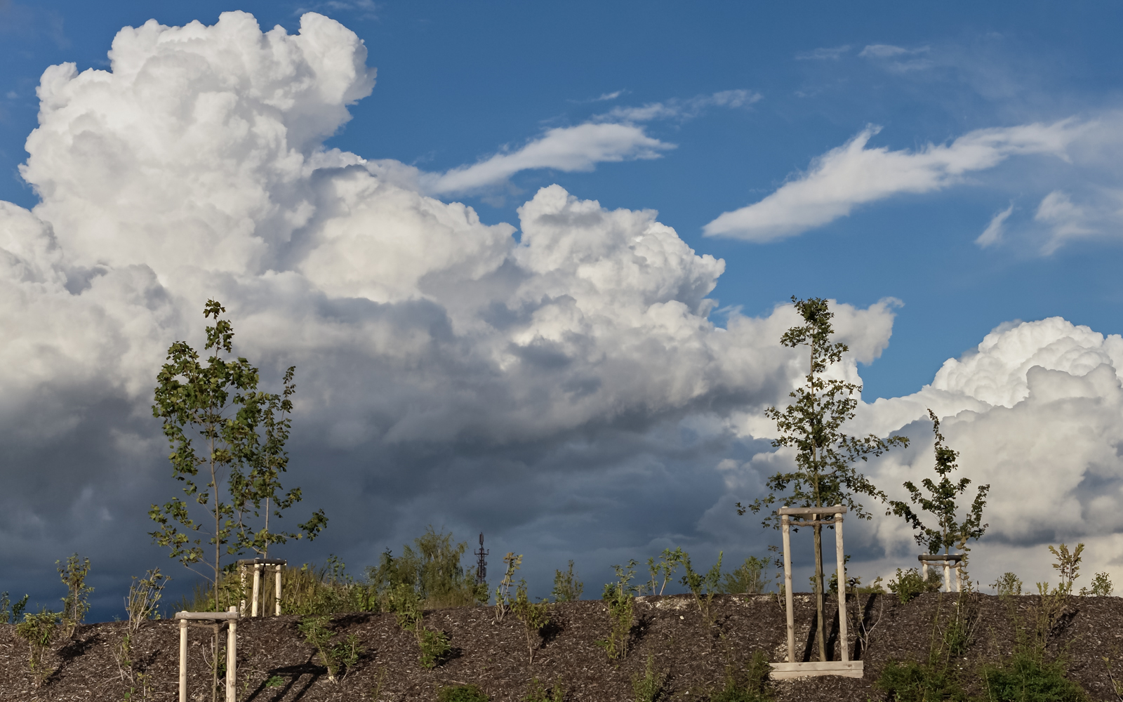 wolken_b11_01