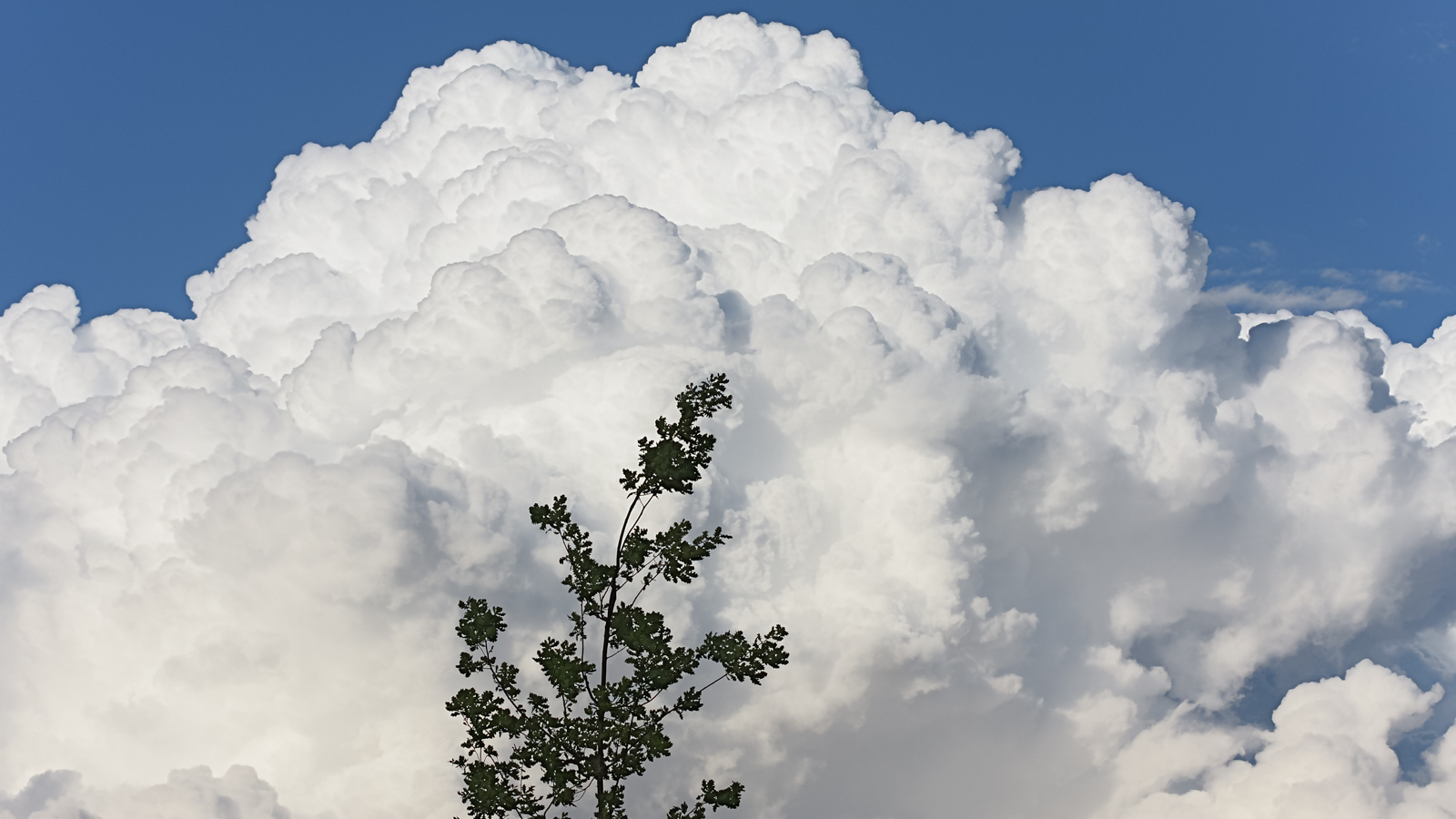 wolken_b11_044