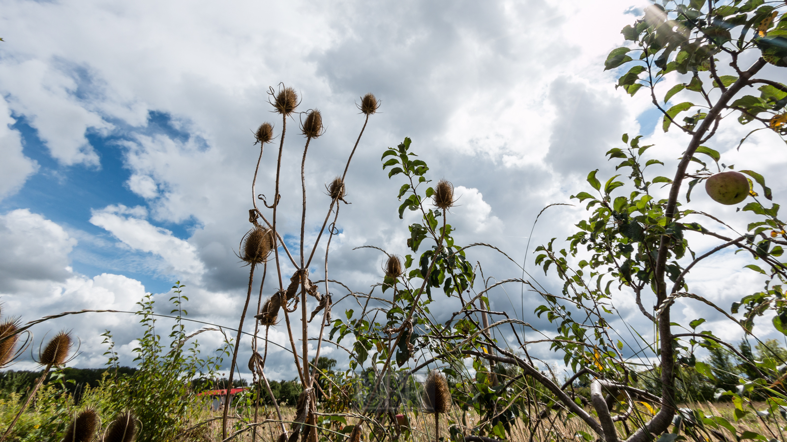 wolken_berge_im_moos_2