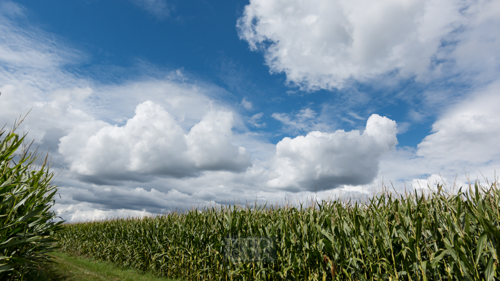 wolken_berge_im_moos_3