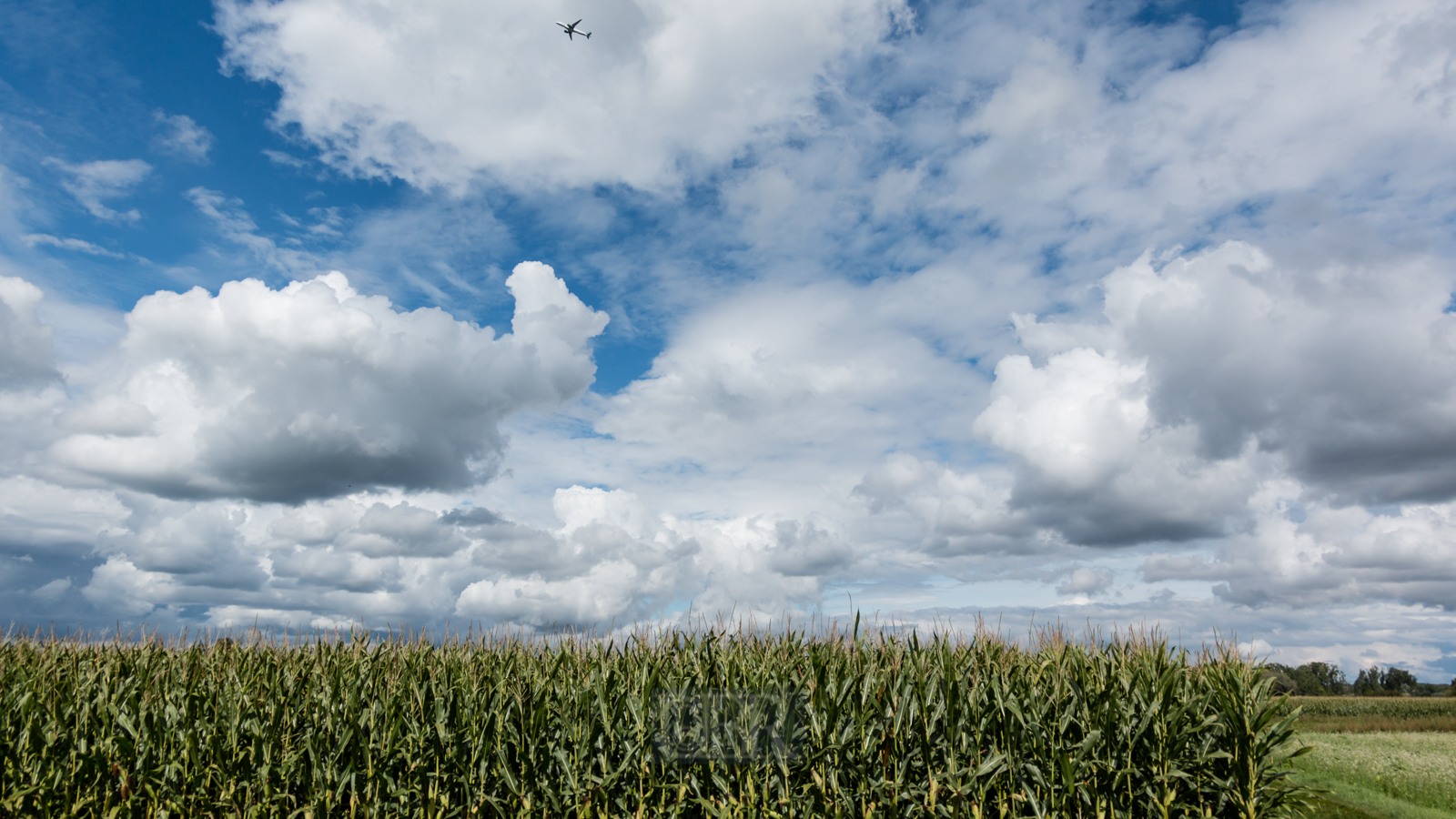 wolken_berge_im_moos_4