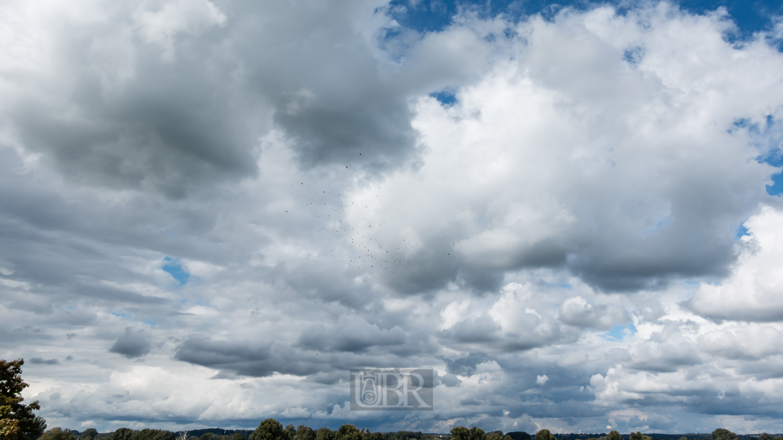 wolken_berge_im_moos_6