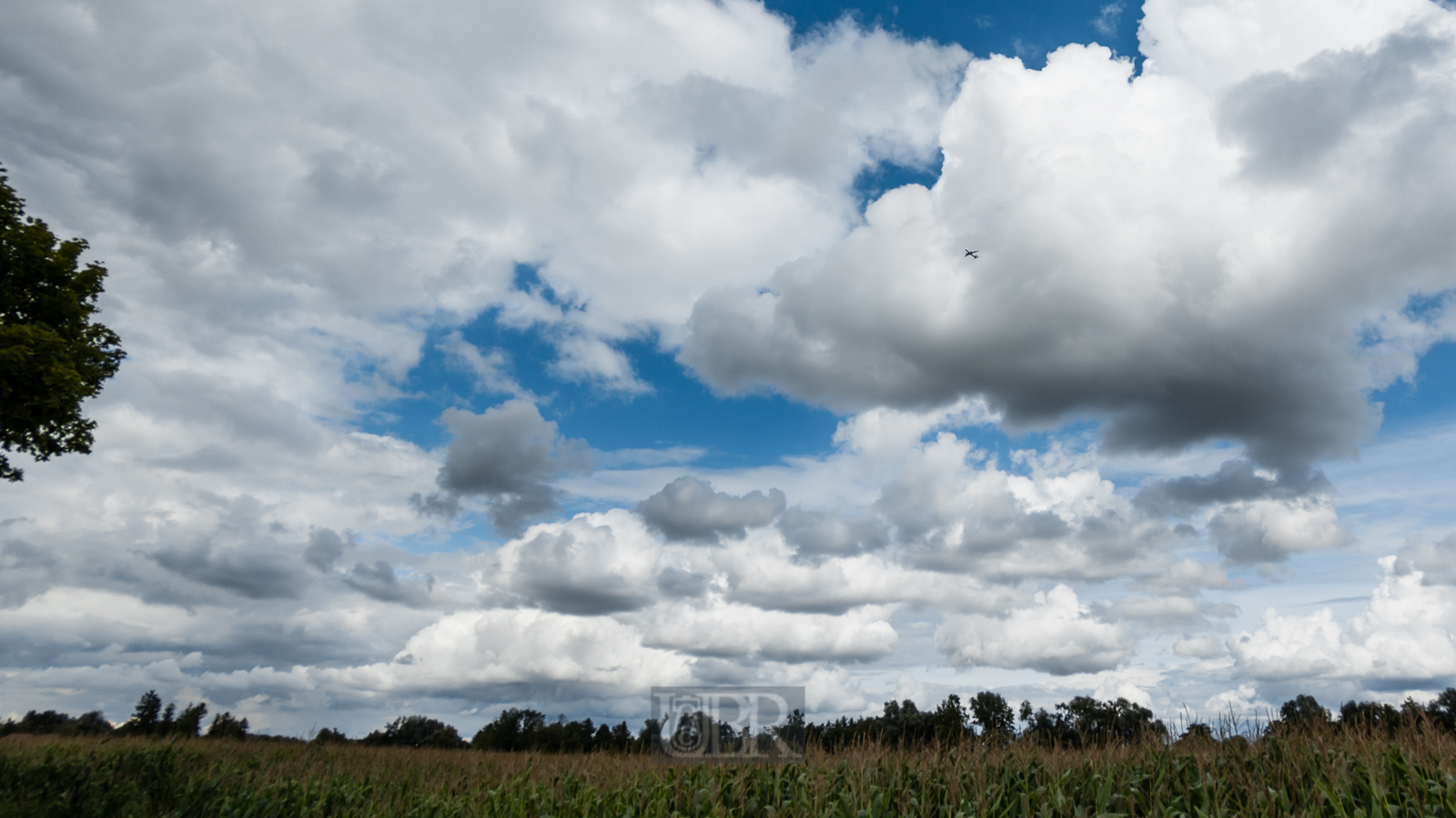 wolken_berge_im_moos_9