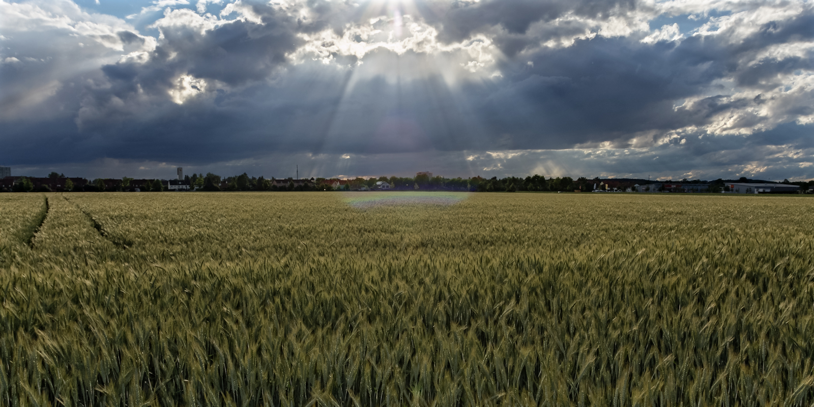 wolken_ueber_gerstenfeld