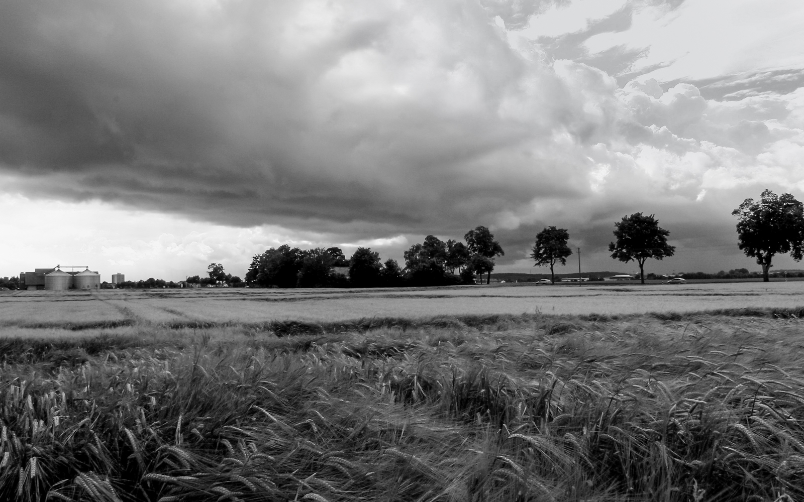 wolkengrau_24_sw