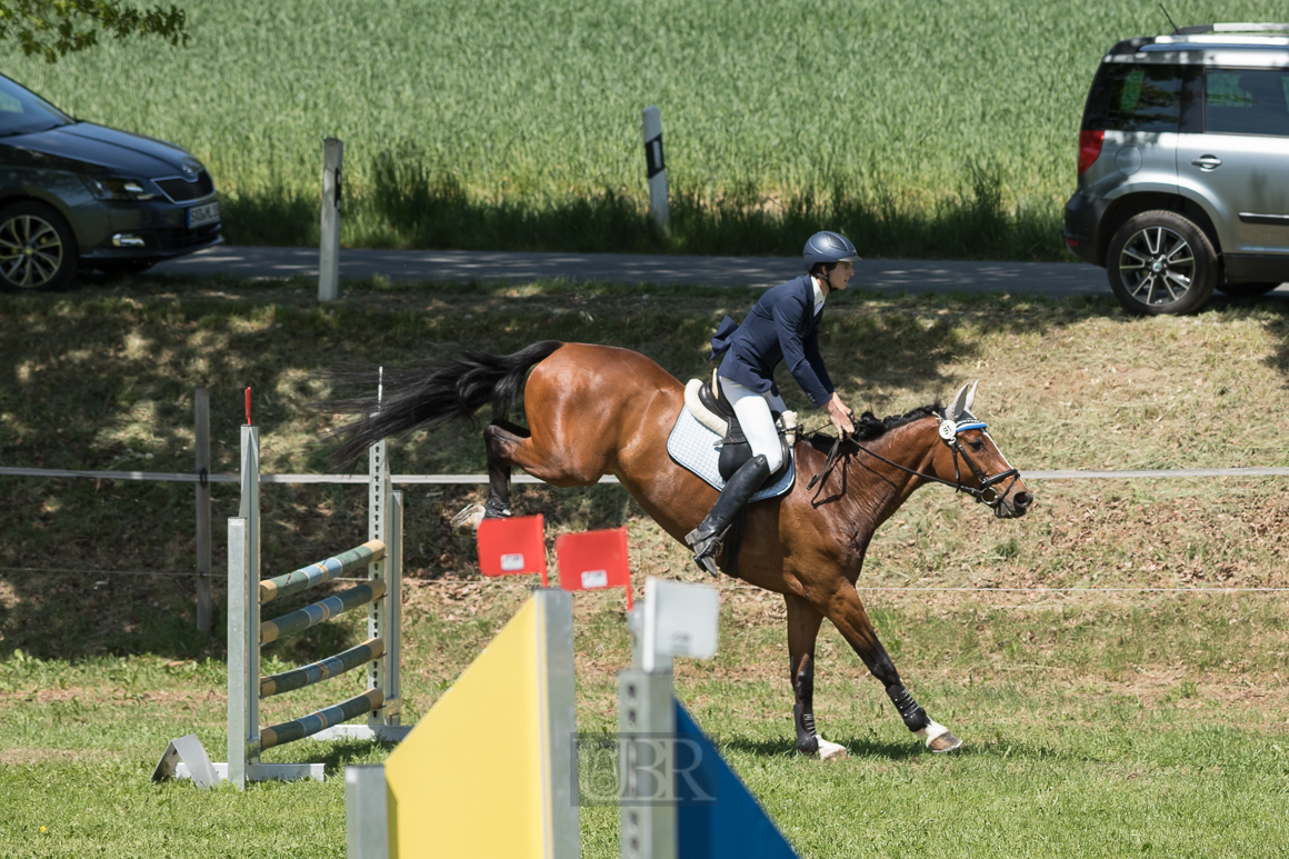 Aufnahmeeinstellungen:    200 mm   1/1600 Sek. bei f / 5,0   ISO 400