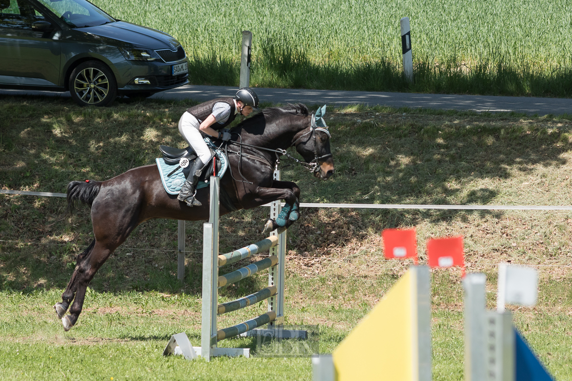 Aufnahmeeinstellungen:    200 mm   1/1600 Sek. bei f / 4,5   ISO 400