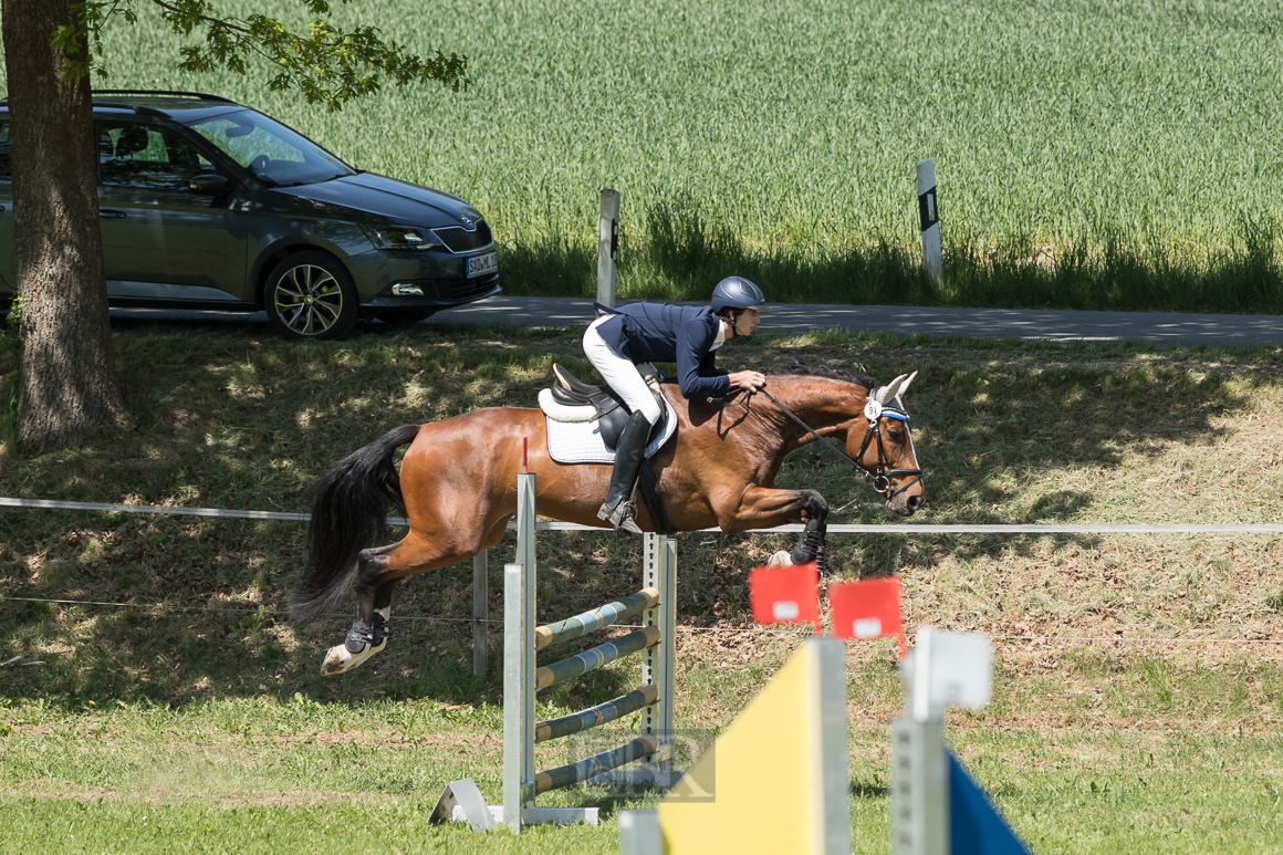 Aufnahmeeinstellungen:    200 mm   1/1600 Sek. bei f / 5,0   ISO 400