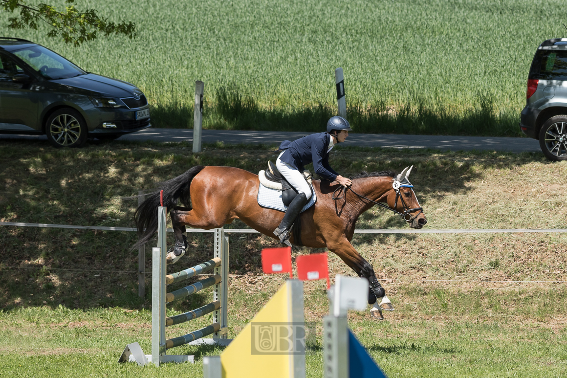 Aufnahmeeinstellungen:    200 mm   1/1600 Sek. bei f / 5,0   ISO 400