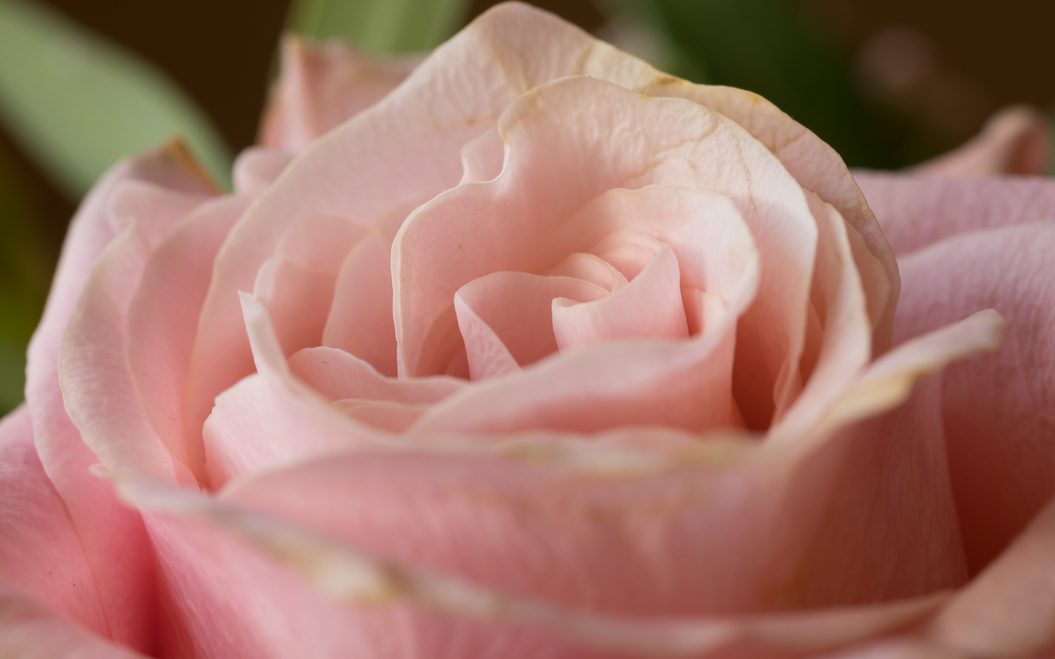 100 mm  0,6 Sek. bei f / 10