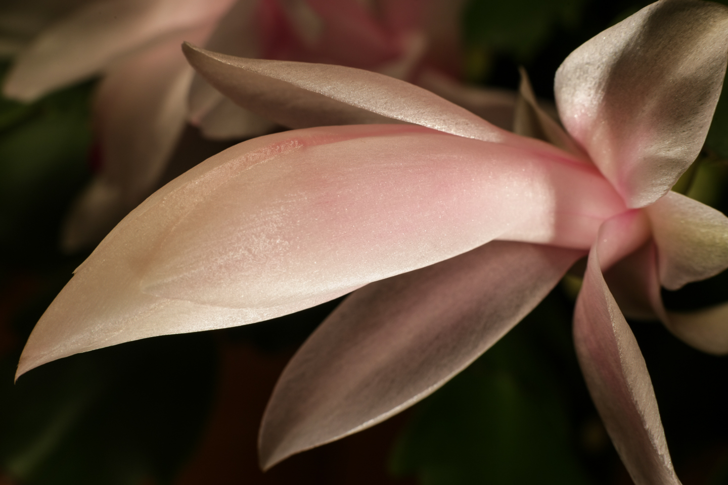 50 mm  0,5 Sek. bei f / 11